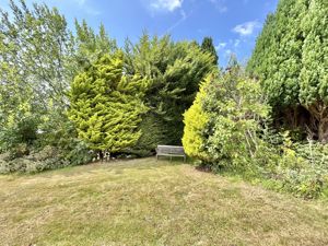 Photo 37- click for photo gallery